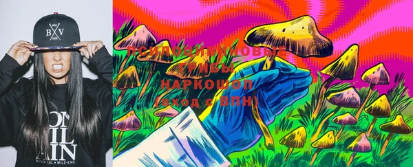 ECSTASY Абинск