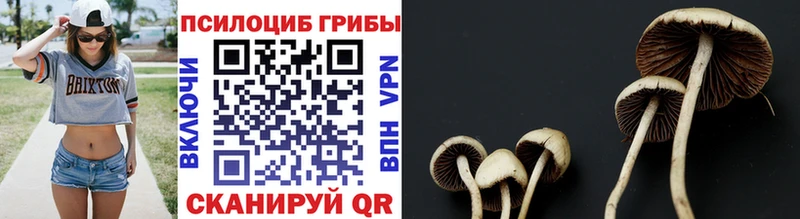 Галлюциногенные грибы ЛСД  дарк нет наркотические препараты  Новое Девяткино  купить наркотики сайты 
